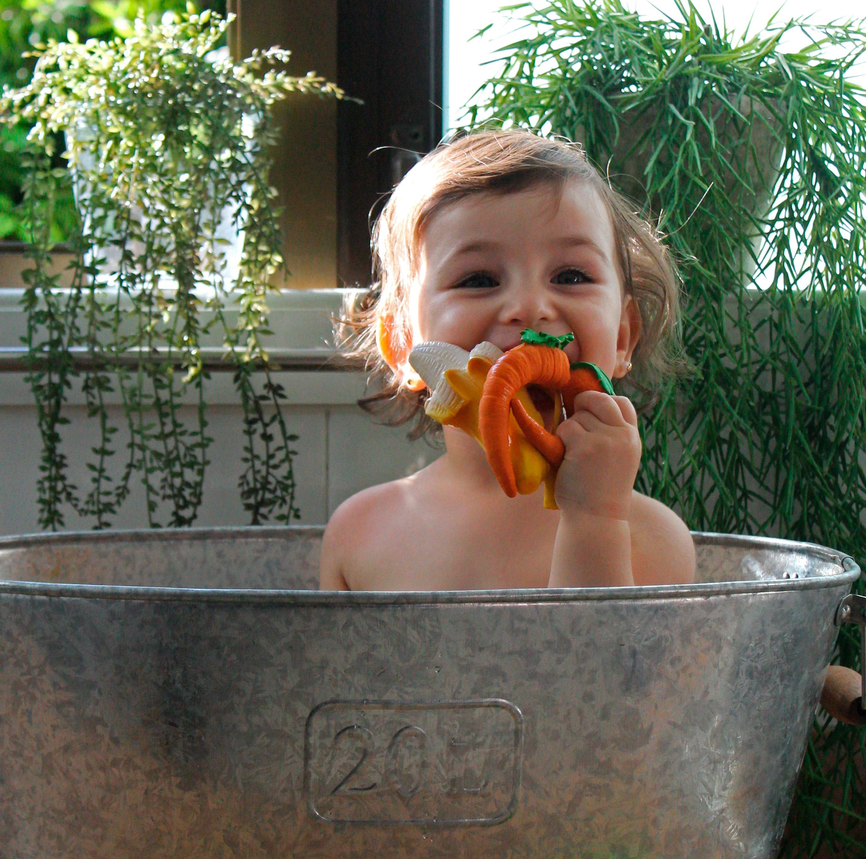 Oli&amp;Carol CATHY THE CARROT