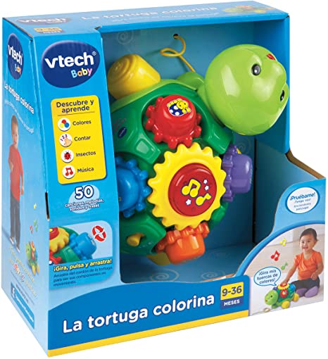 LA TORTUGA COLORINA 251355