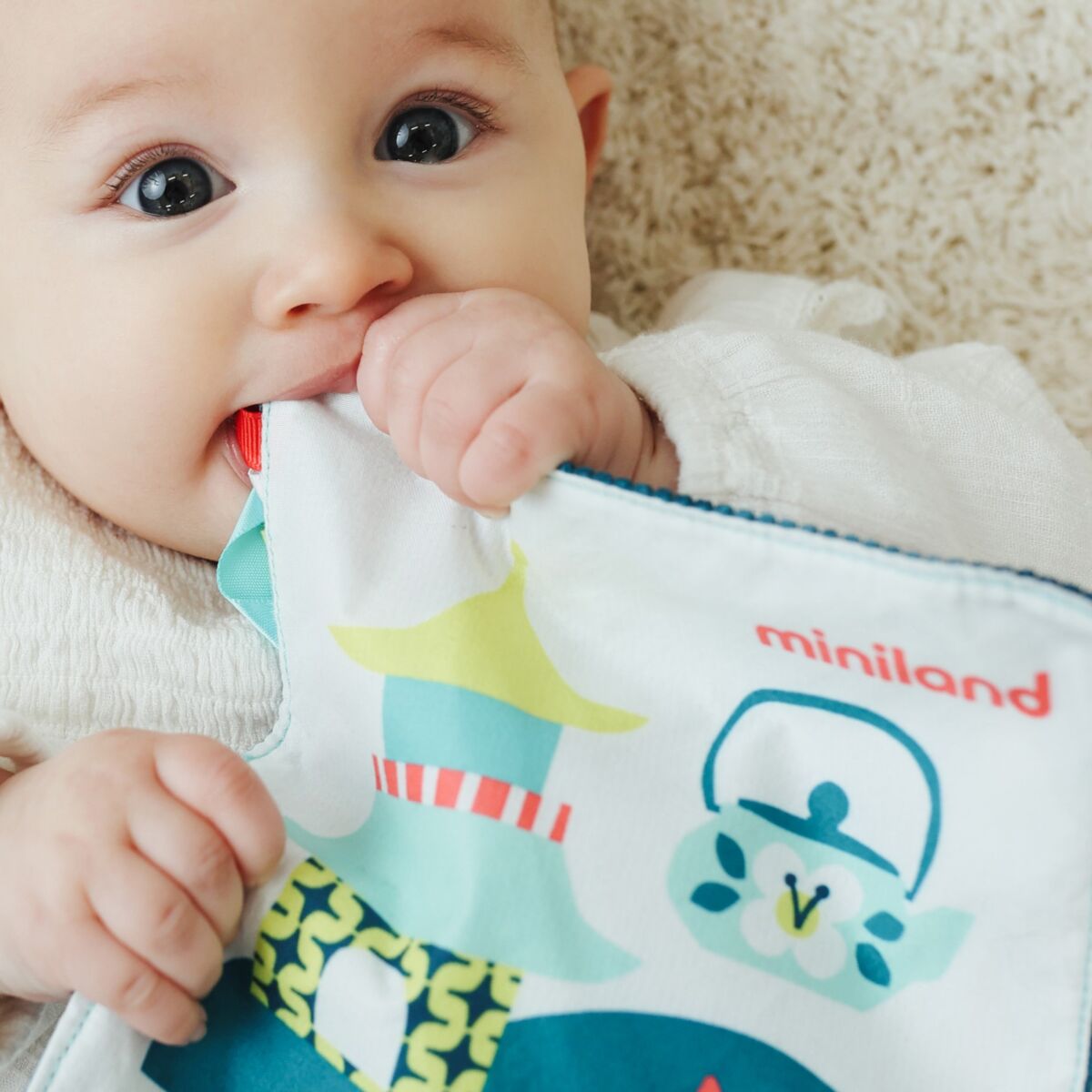 MINILAND SENSORIAL - PAPEL CRUJIENT LEON MARINO