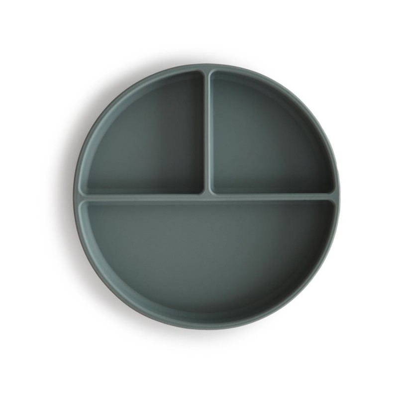 Plato Ventosa-Compartimentos SOLID Dried Thyme