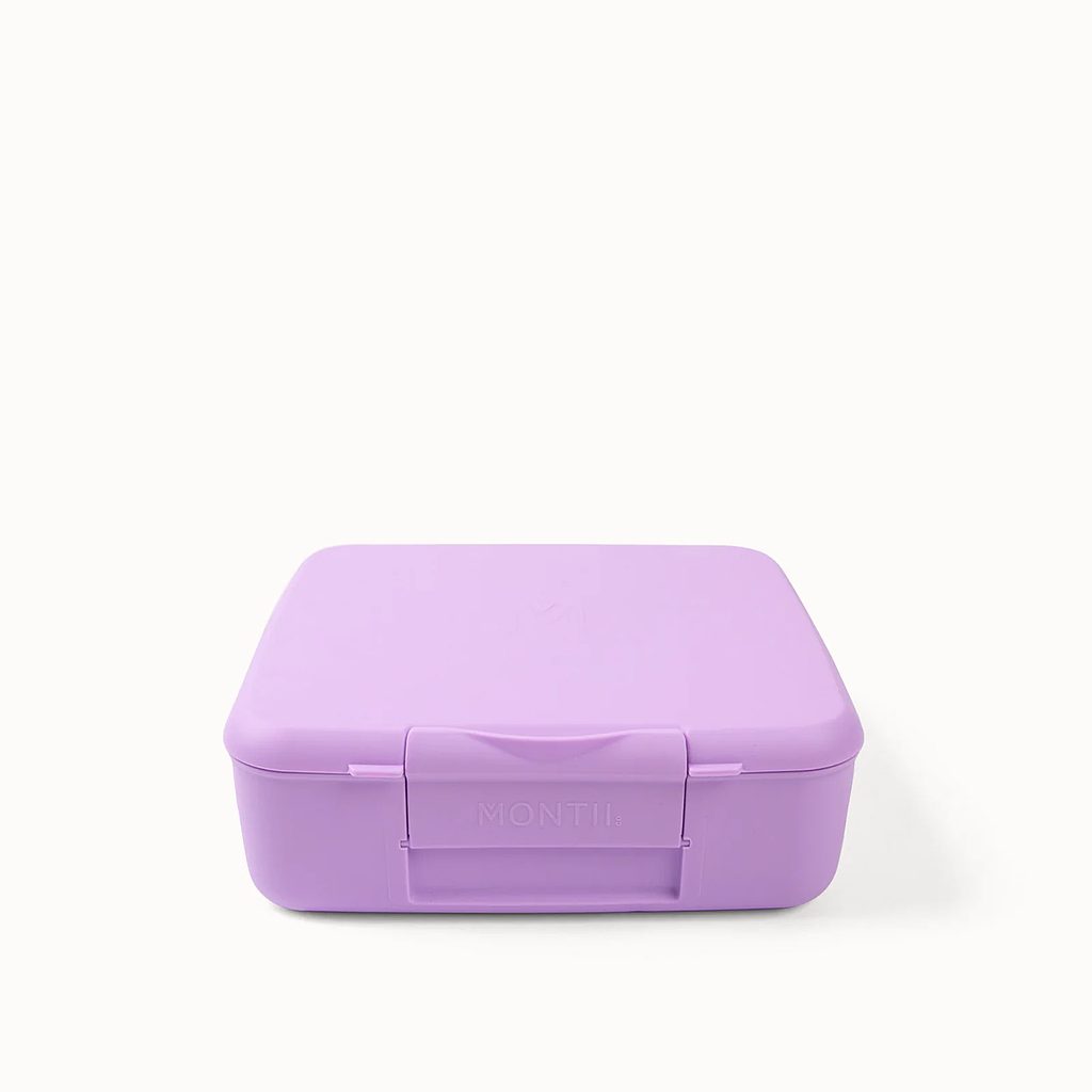 LUNCH BOX FEAST 4C LILAC
