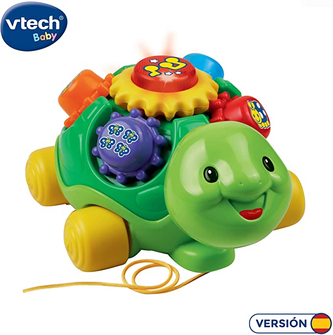 LA TORTUGA COLORINA 251355