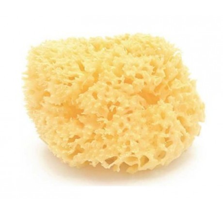 ESPONJA NATURAL BELLINI GRANDE Nº10