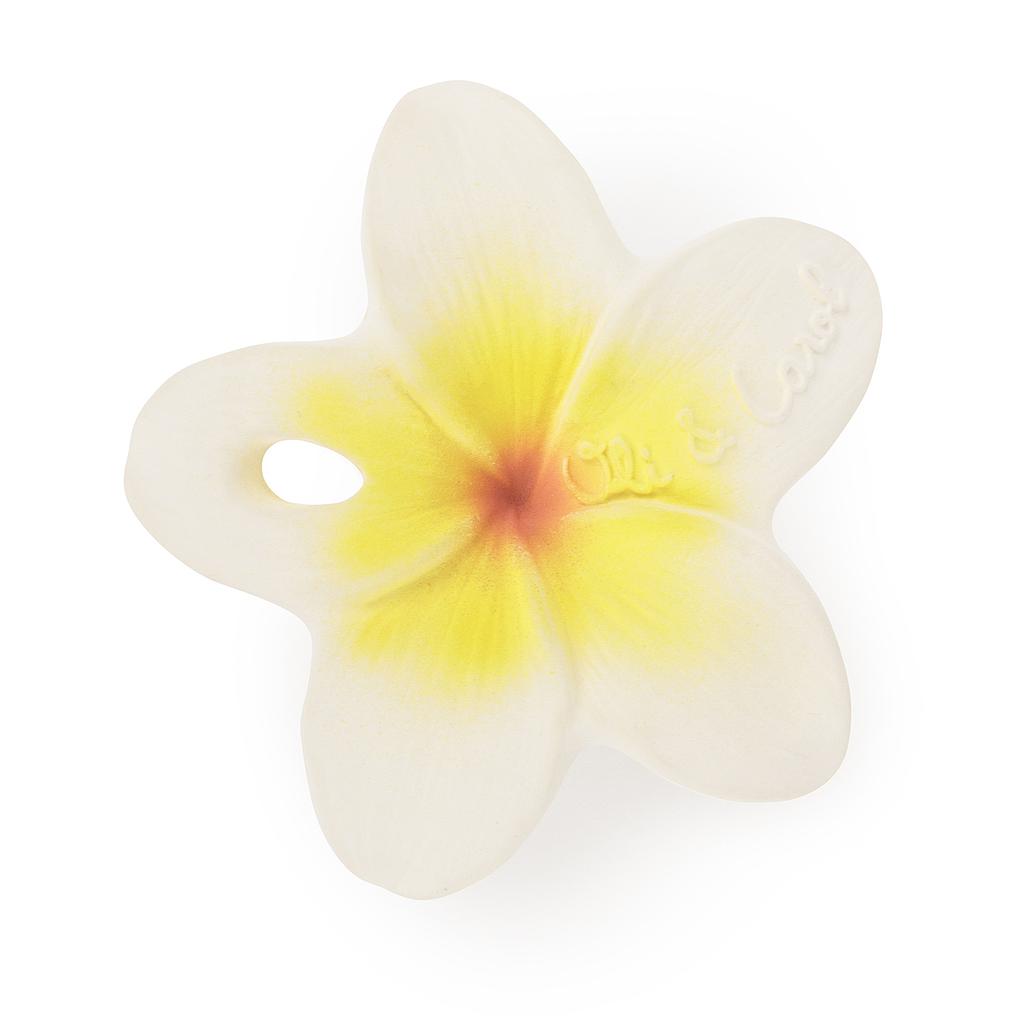 Oli&amp;Carol HAWAII THE FLOWER