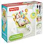 FISHER PRICE HAMACA PLEGABLE CMR20