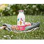 BOTELLA MONBENTO COOLY BIRDS 350ML