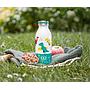 BOTELLA MONBENTO COOLY DINOS 350ML